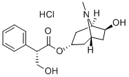 RaceAnizodamin